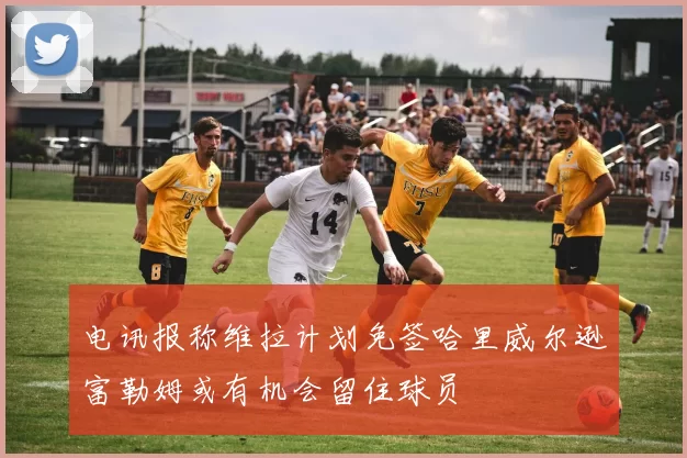 电讯报称维拉计划免签哈里威尔逊富勒姆或有机会留住球员